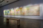 2015 - Museal - CCR - Paola Vega - 05