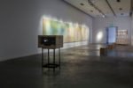 2015 - Museal - CCR - Paola Vega - 17